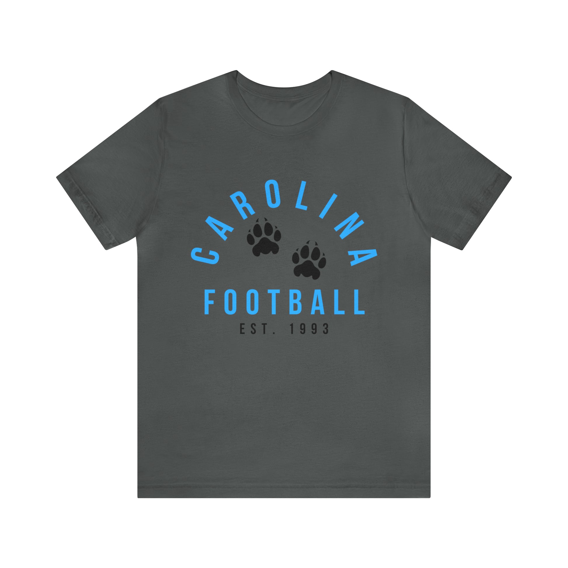 Vintage Carolina Panthers T-Shirt - Retro Short Sleeve Tee NFL Football Oversized Apparel - Vintage Men's and Women's - Design 4 gray