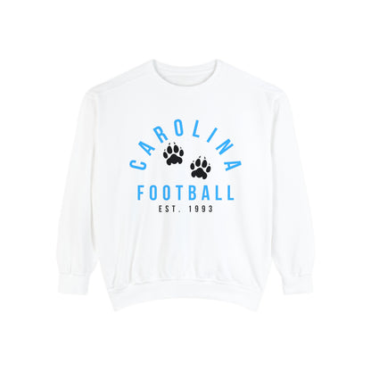 Carolina Panthers Crewneck Sweatshirt - Retro NFL Football Hoodie - Comfort Colors Vintage Men's and Women's - Design 4