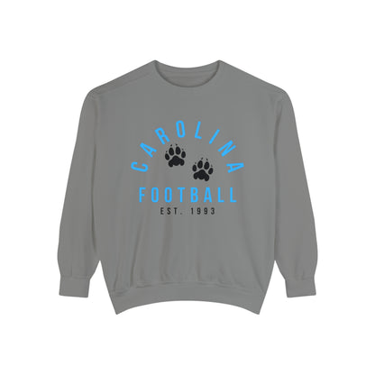 Carolina Panthers Crewneck Sweatshirt - Retro NFL Football Hoodie - Comfort Colors Vintage Men's and Women's - Design 4