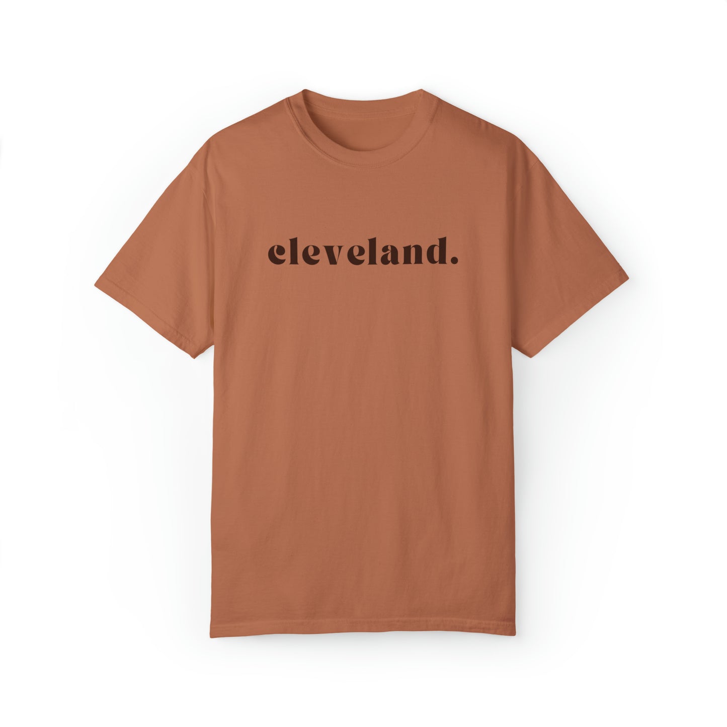 Cleveland Browns T-Shirt - Vintage NFL Football Browns Minimalist Tee - Oversized Short Sleeve T-Shirt Cleveland T-Shirt Helmet - Design 10
