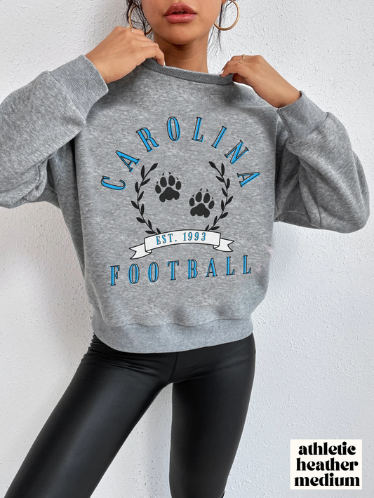 Vintage Carolina Panthers Crewneck Sweatshirt - Retro NFL Football Hoodie Apparel - Vintage Men's and Women's - Design 3 Gray