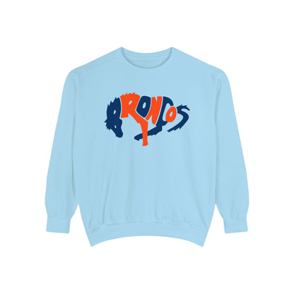 Comfort Colors Denver Broncos Crewneck Sweatshirt - Vintage Colorado Football Men's & Women's - Design 3