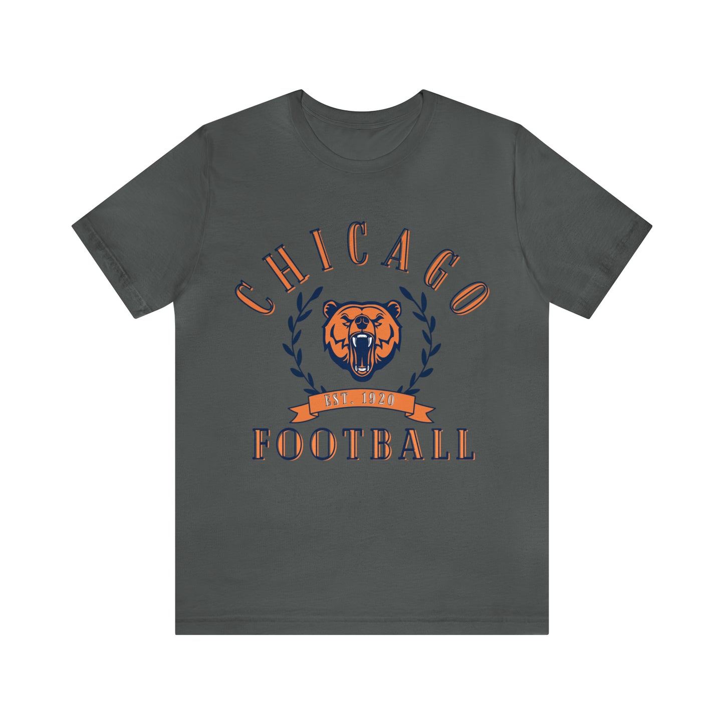 Vintage Chicago Bears Short Sleeve T-Shirt - Throwback NFL Football Men's & Women's Oversized Tee - Design 3