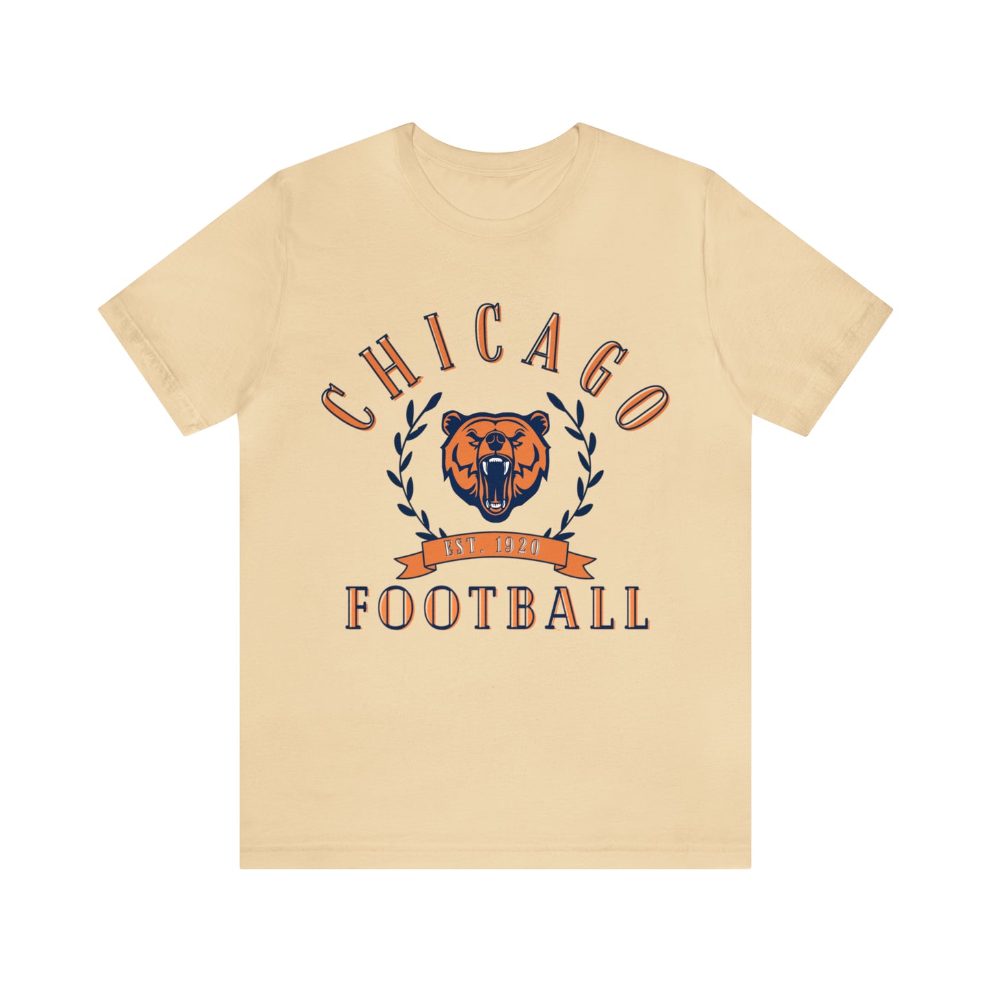Vintage Chicago Bears Short Sleeve T-Shirt - Throwback NFL Football Men's & Women's Oversized Tee - Design 3