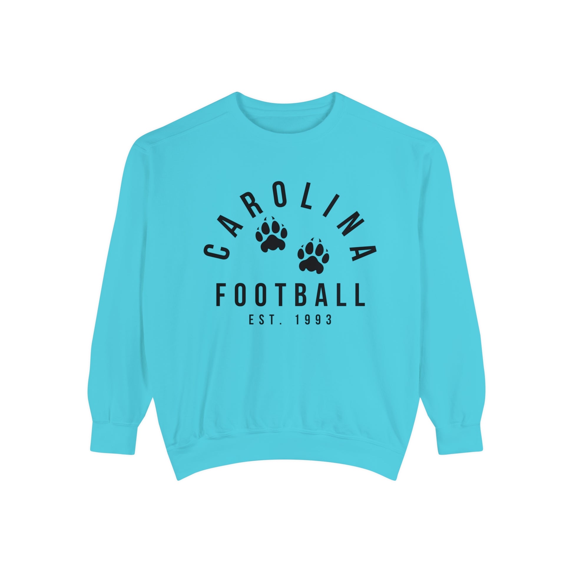 Carolina Panthers Crewneck Sweatshirt - Retro NFL Football Hoodie - Comfort Colors Vintage Men's and Women's - Design 4