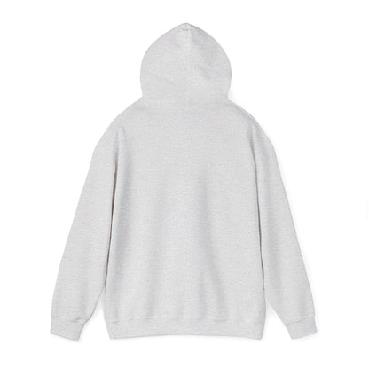 Men's Unisex Leprecaun Pub Hoodie — Vintage Irish Pub Logo Sweatshirt - Faded Leprecunt