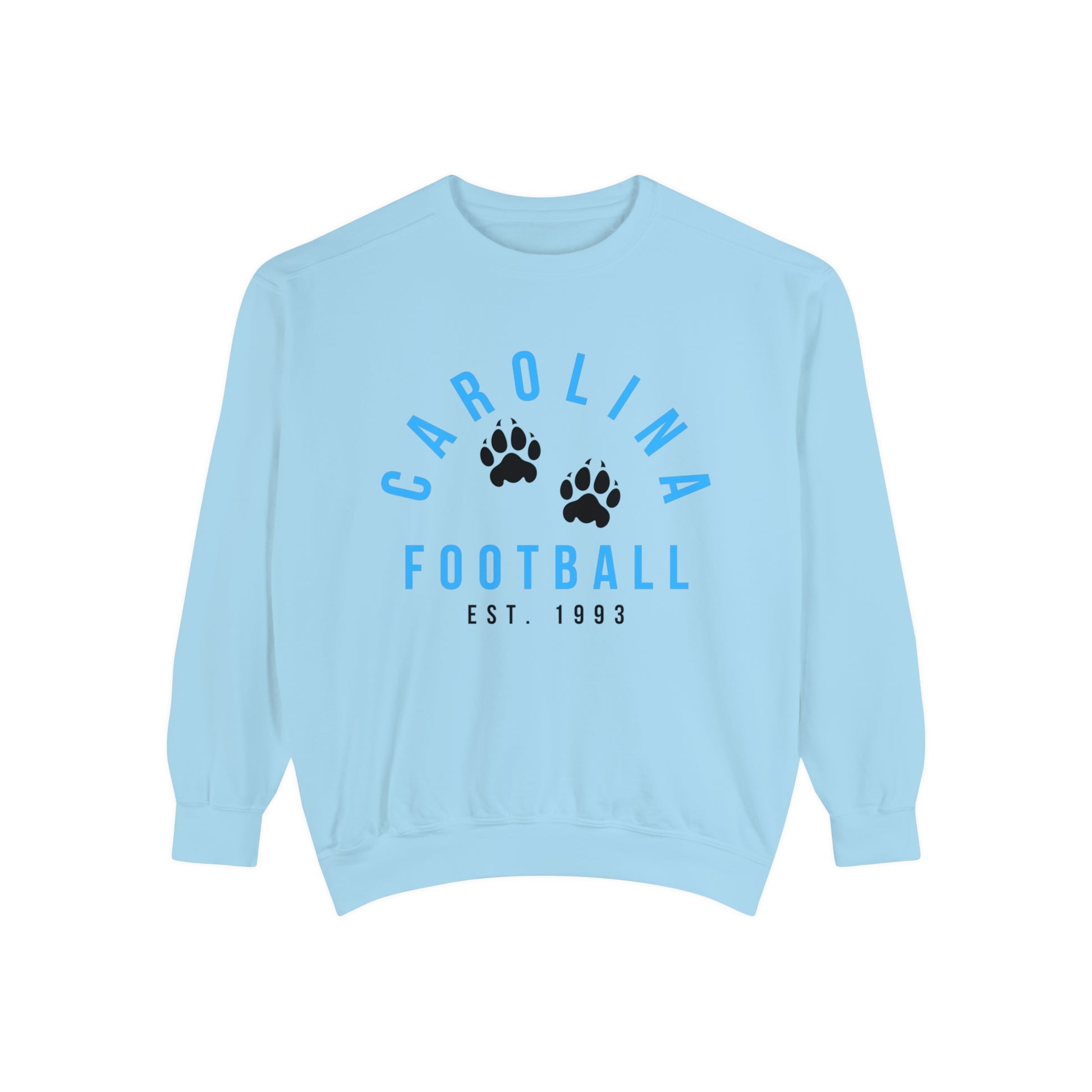 Carolina Panthers Crewneck Sweatshirt - Retro NFL Football Hoodie - Comfort Colors Vintage Men's and Women's - Design 4