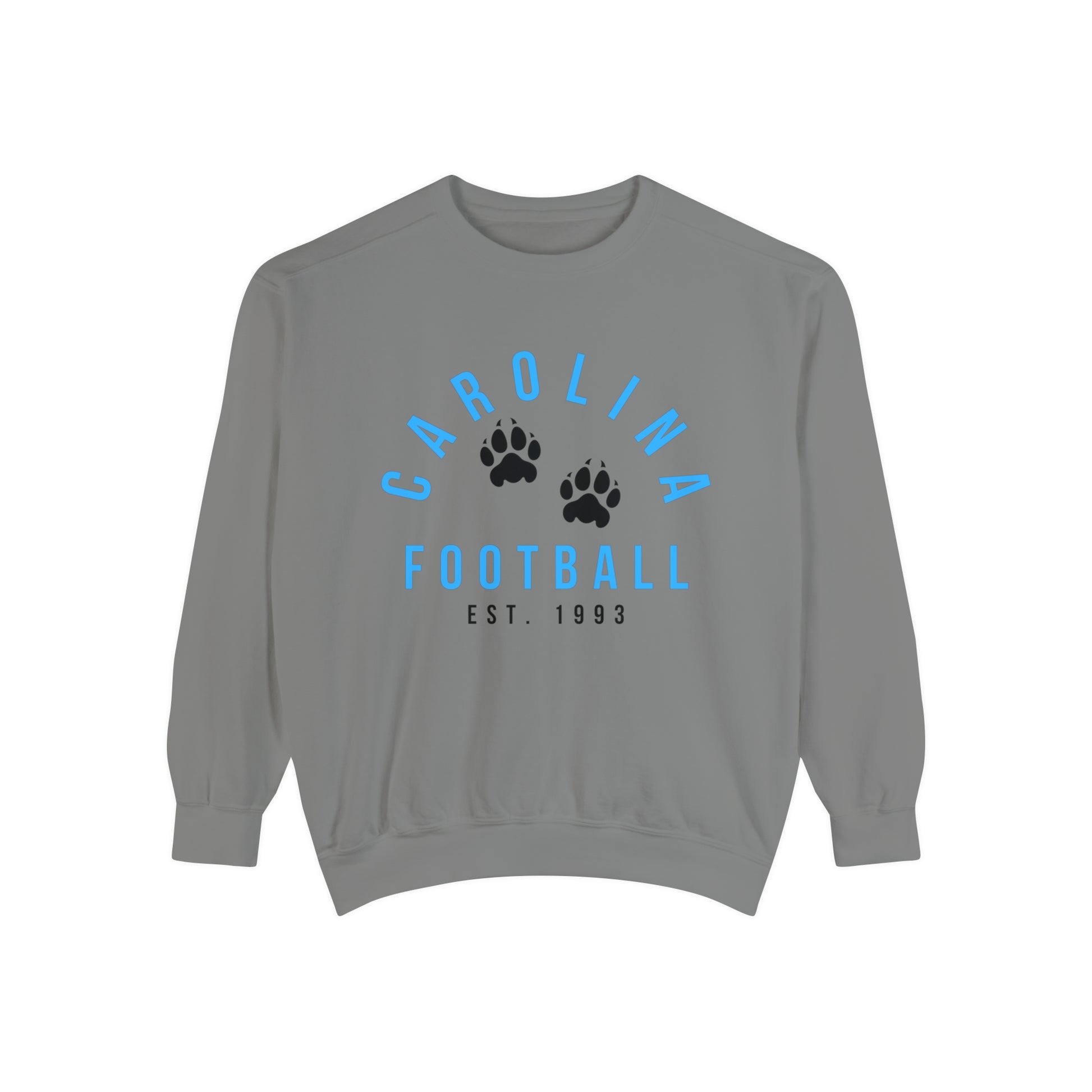 Carolina Panthers Crewneck Sweatshirt - Retro NFL Football Hoodie - Comfort Colors Vintage Men's and Women's - Design 4