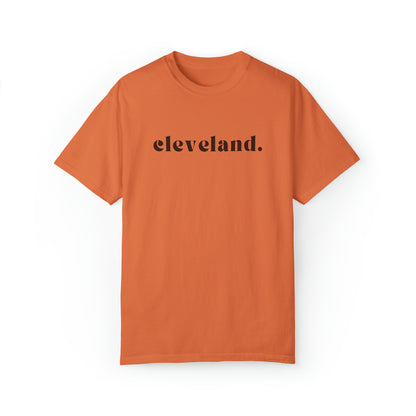 Cleveland Browns T-Shirt - Vintage NFL Football Browns Minimalist Tee - Oversized Short Sleeve T-Shirt Cleveland T-Shirt Helmet - Design 10